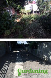 garden clearance - before and after