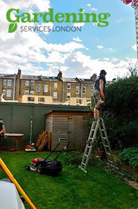 London garden maintenance