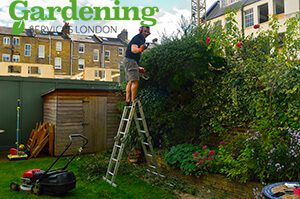 Gardening Services London