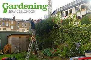 garden maintenance London